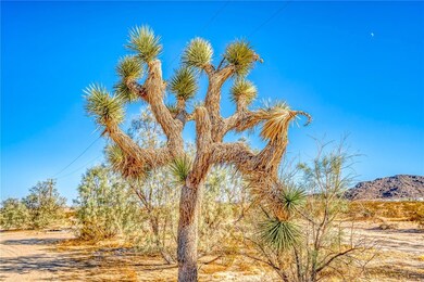 63140 Pole Rd, Joshua Tree, CA 92252 - photo 6