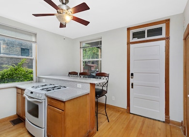 4818 N Hamilton Ave, Chicago, IL 60625 - photo 7