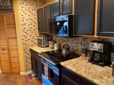 Stove area & pantry