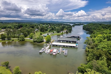 184 Waters Edge Dr, Spring City, TN 37381 - photo 4