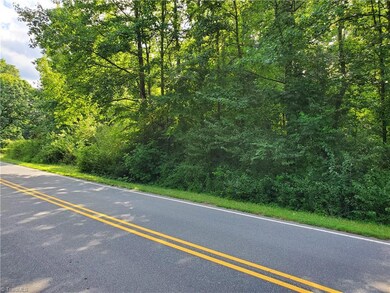 0 Bachelor Creek Rd, Seagrove, NC 27341 - photo 2