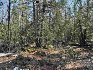 0 Bungy unit 4991867, Columbia, NH 03576 - photo 6