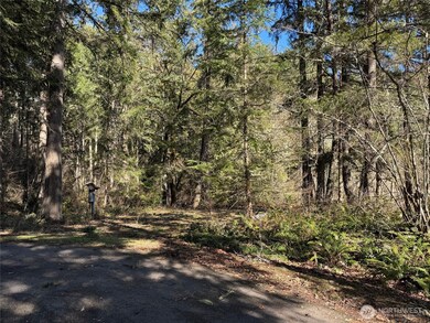 17820 Pondside Ct SE, Yelm, WA 98597 - photo 5