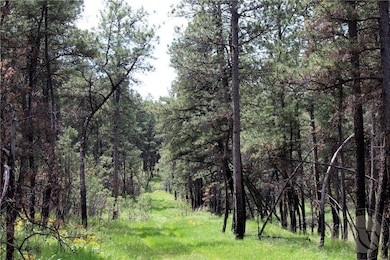 Deer Lane Lot: Eh-13, Roundup, MT 59072 - photo 2