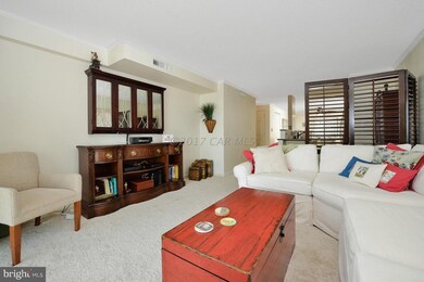 11615 Shipwreck Rd unit 4, Ocean City, MD 21842 - photo 7