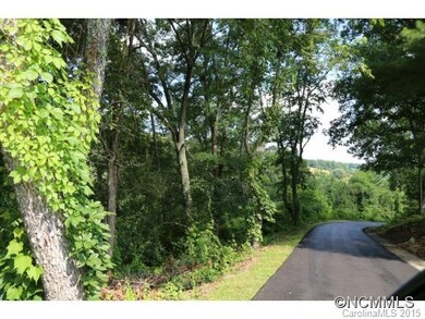 22 Goughes Branch Rd, Leicester, NC 28748 - photo 2