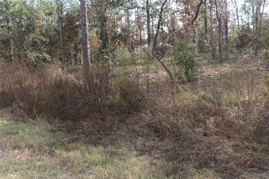 00 Geranium Ave, Dunnellon, FL 34431 - photo 3