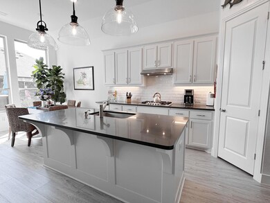 820 Westerkirk Dr, Celina, TX 75009 - photo 4