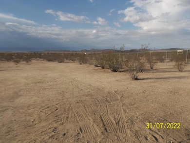 64806 Chollita Rd, Joshua Tree, CA 92252 - photo 5