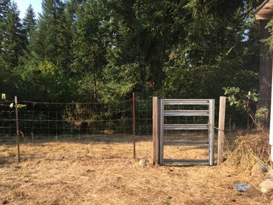 16036 Bald Hill Rd SE, Yelm, WA 98597 - photo 7