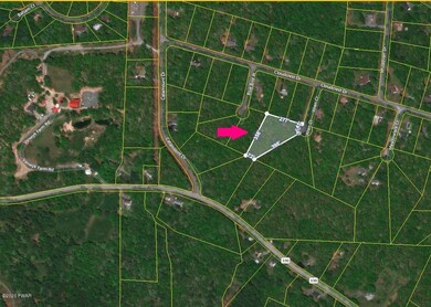 609 Wren Ct, Blooming Grove Township, PA 18428 - photo 3