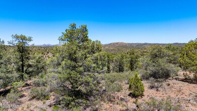 0 N Buckhorn 17 Trail, Prescott, AZ 86303 - photo 6