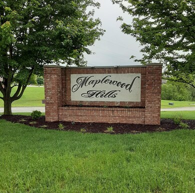 819 E Twin Maple Ct, Nixa, MO 65714 - photo 3