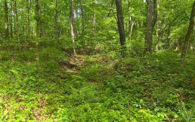 TR A Yukon Rd, Ellijay, GA 30540 - photo 2