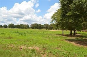 31227 Choctaw Hills Dr, Franklinton, LA 70438 - photo 4