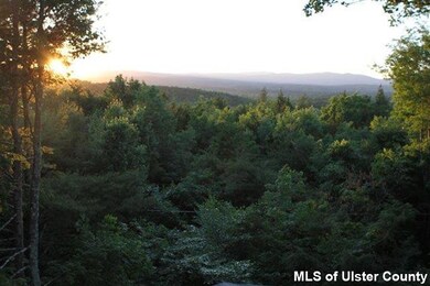 93 Ray Cliff Dr, Accord, NY 12404 - photo 4