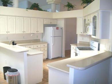 2528 SW 175 Loop, Ocala, FL 34473 - photo 4