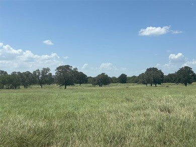 0 County Road 121 unit ACT4600066, Leesville, TX 78140 - photo 3
