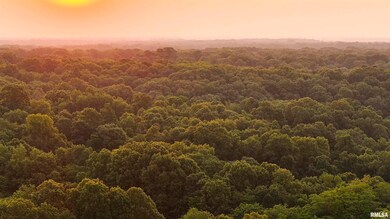 000 N Tarters Ferry Ln, Smithfield, IL 61477 - photo 4