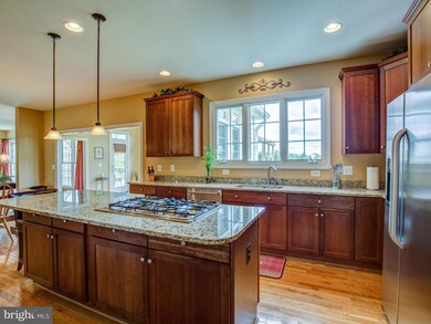 16762 Chestnut Overlook Dr, Purcellville, VA 20132 - photo 3