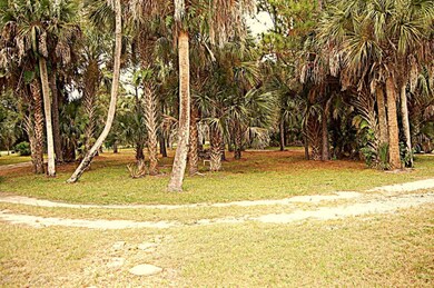 Circular Driveway