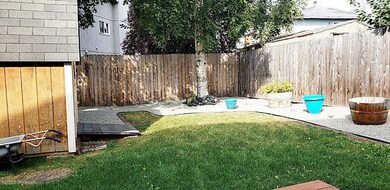 backyard 3