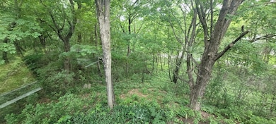 4893 Woodhurst Ln, Minnetonka, MN 55345 - photo 3