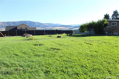 3198 Rock Island Rd, East Wenatchee, WA 98802 - photo 3
