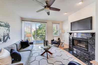 1728 W Terra Cotta Place unit D, Chicago, IL 60614 - photo 3