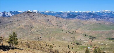 38 Cowboy Rd unit 38, Methow, WA 98834 - photo 5