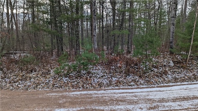 View across the road from the driveway
