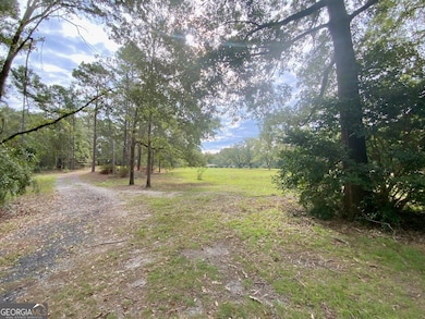 3195 Middle Ground Rd, Statesboro, GA 30461 - photo 6