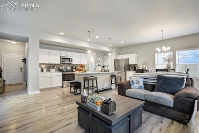 6242 Barr Point, Colorado Springs, CO 80924 - photo 4