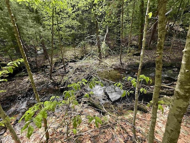 Lot 3 Old Mill Ln, Wilmington, VT 05363 - photo 6