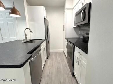1401 S Palmetto Ave unit 203, Daytona Beach, FL 32114 - photo 3