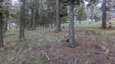 924 Will Scarlet Dr, Divide, CO 80814 - photo 2