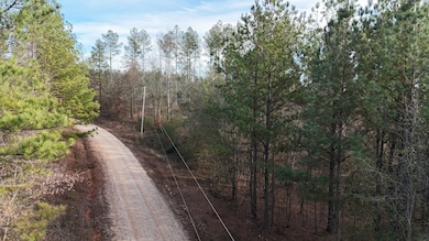 County Road 176, Piedmont, AL 36272 - photo 4