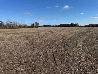 TBD Shelley Ln, Nichols, SC 29581 - photo 7