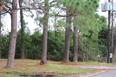 5315 Phillips Dr, Manvel, TX 77578 - photo 5