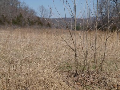 0 S 295 Hwy unit 1138449, Crosses, AR 72727 - photo 2