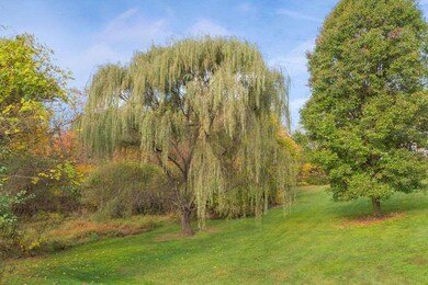 327 Lyon Ln, Ruckersville, VA 22968 - photo 7