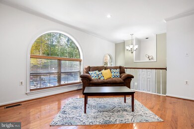 5703 Mason Bluff Dr, Burke, VA 22015 - photo 6