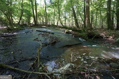 0 Springdale Dr unit 10647918, Palmetto, GA 30268 - photo 6