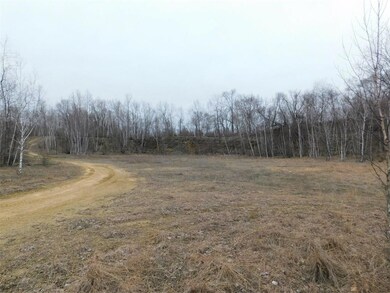 0 Sather Ln unit 1533393, Ettrick, WI 54627 - photo 5