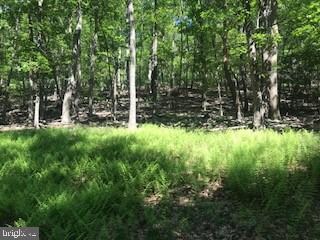 0 O Short Rd unit WVHD105066, Baker, WV 26801 - photo 3