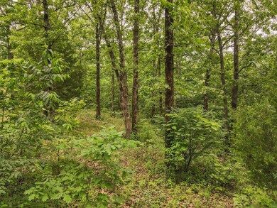 0 Red Robin Ln, Poplar Bluff, MO 63901 - photo 3