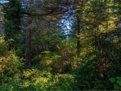 0 9th St NE unit 7-10 24484508, Bandon, OR 97411 - photo 5