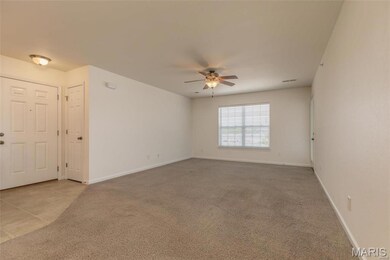 1776 Lexington Place unit 200, Herculaneum, MO 63048 - photo 5