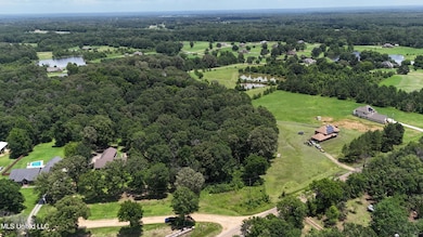 DJI_20250619113231_0060_D