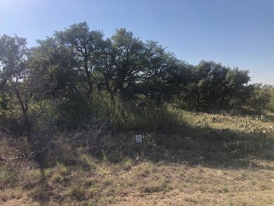 Lot 26 Turner Ranch Rd, Brownwood, TX 76801 - photo 4
